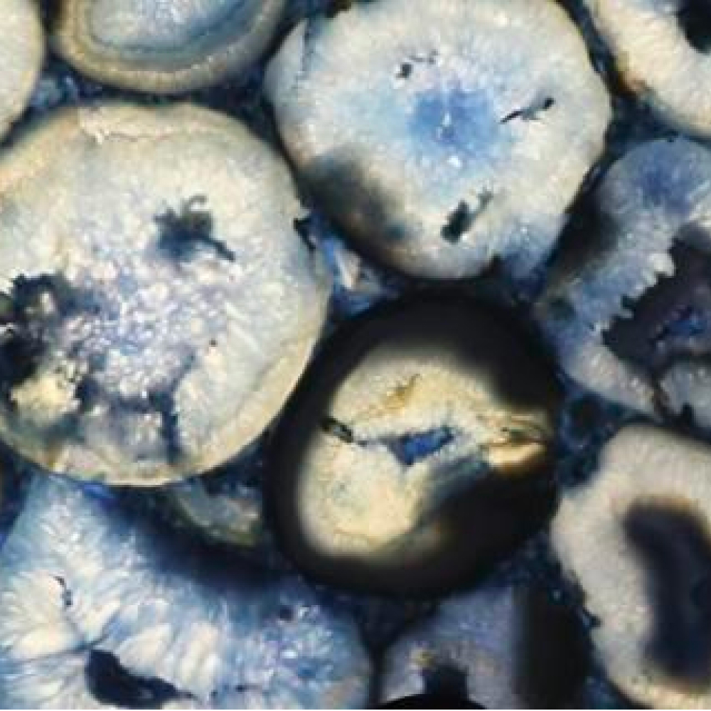 Agatona Blue Giant - Image 4