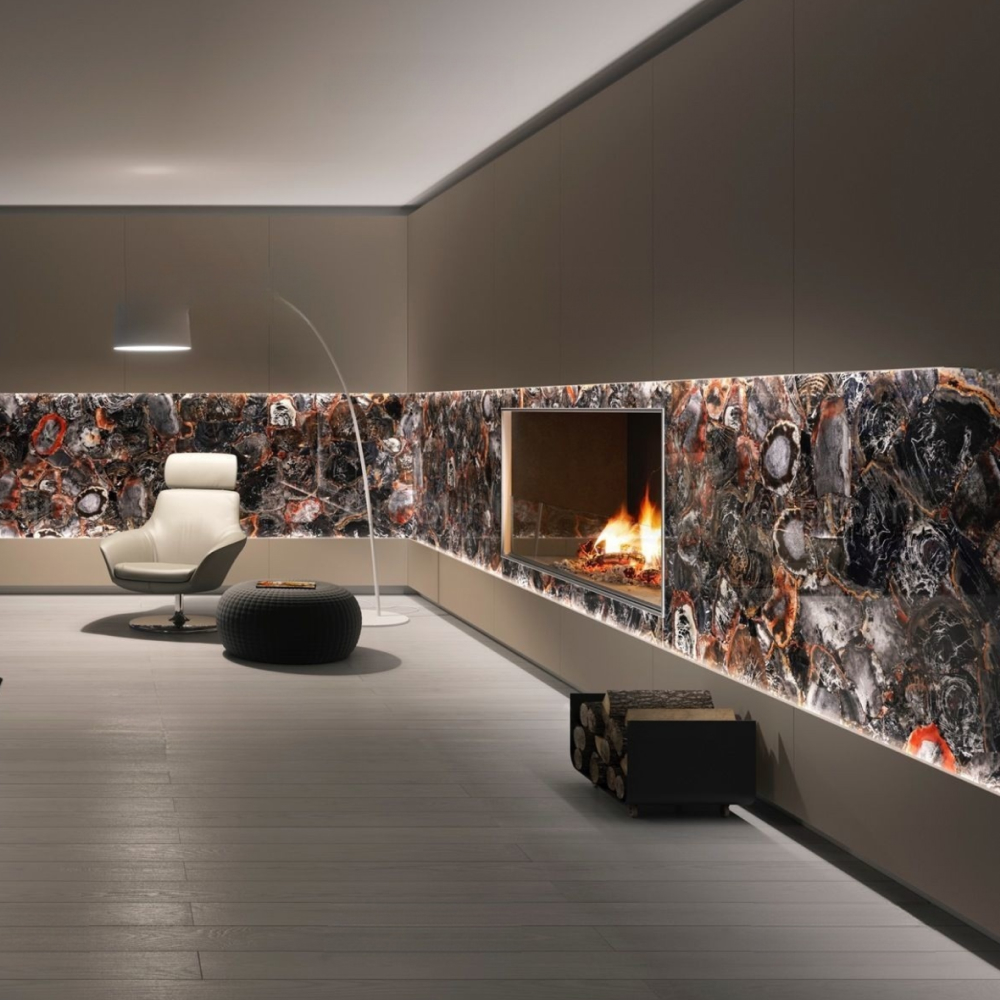 Black Petrified Wood - Image 3