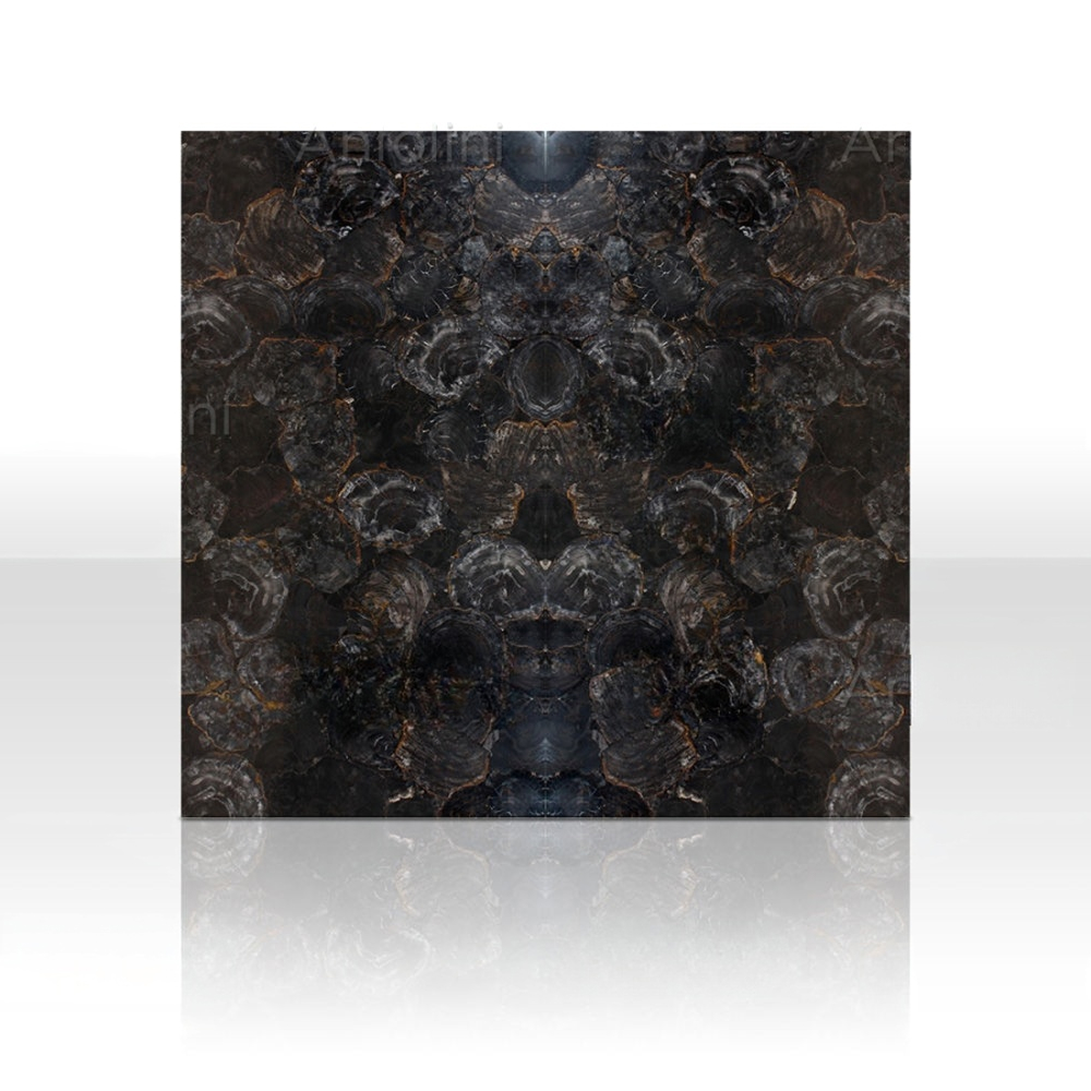 Grey Petrified Wood - Image 4