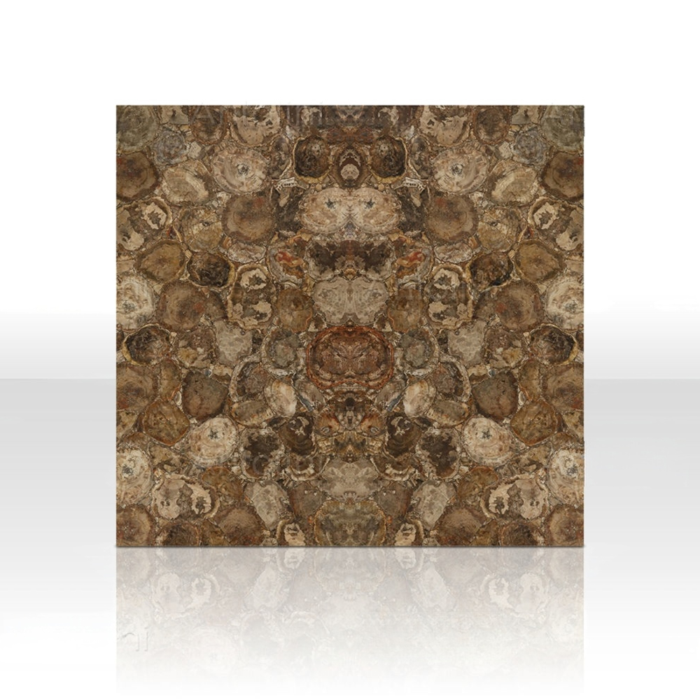 Brown Petrified Wood - Image 3