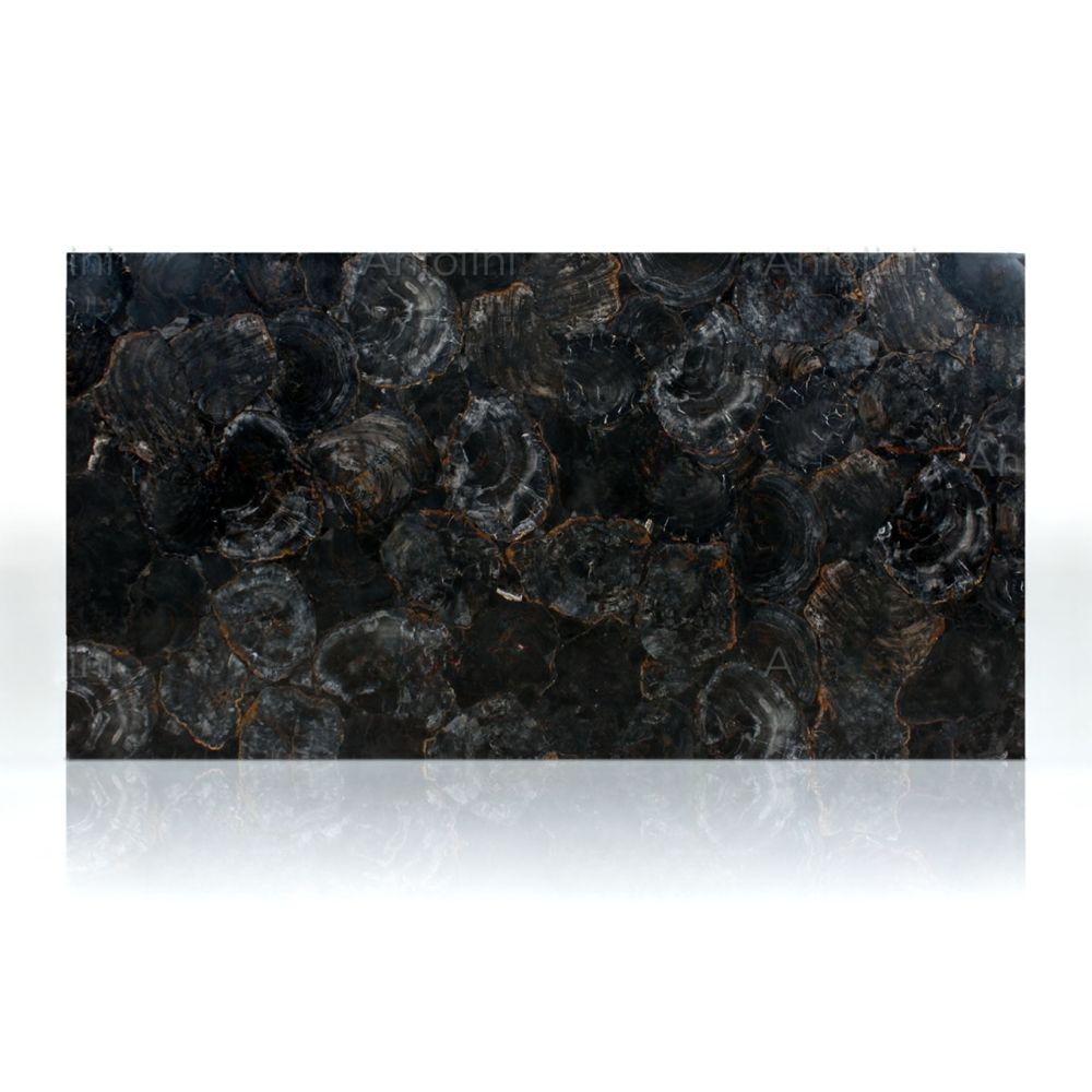 Grey Petrified Wood - Image 3