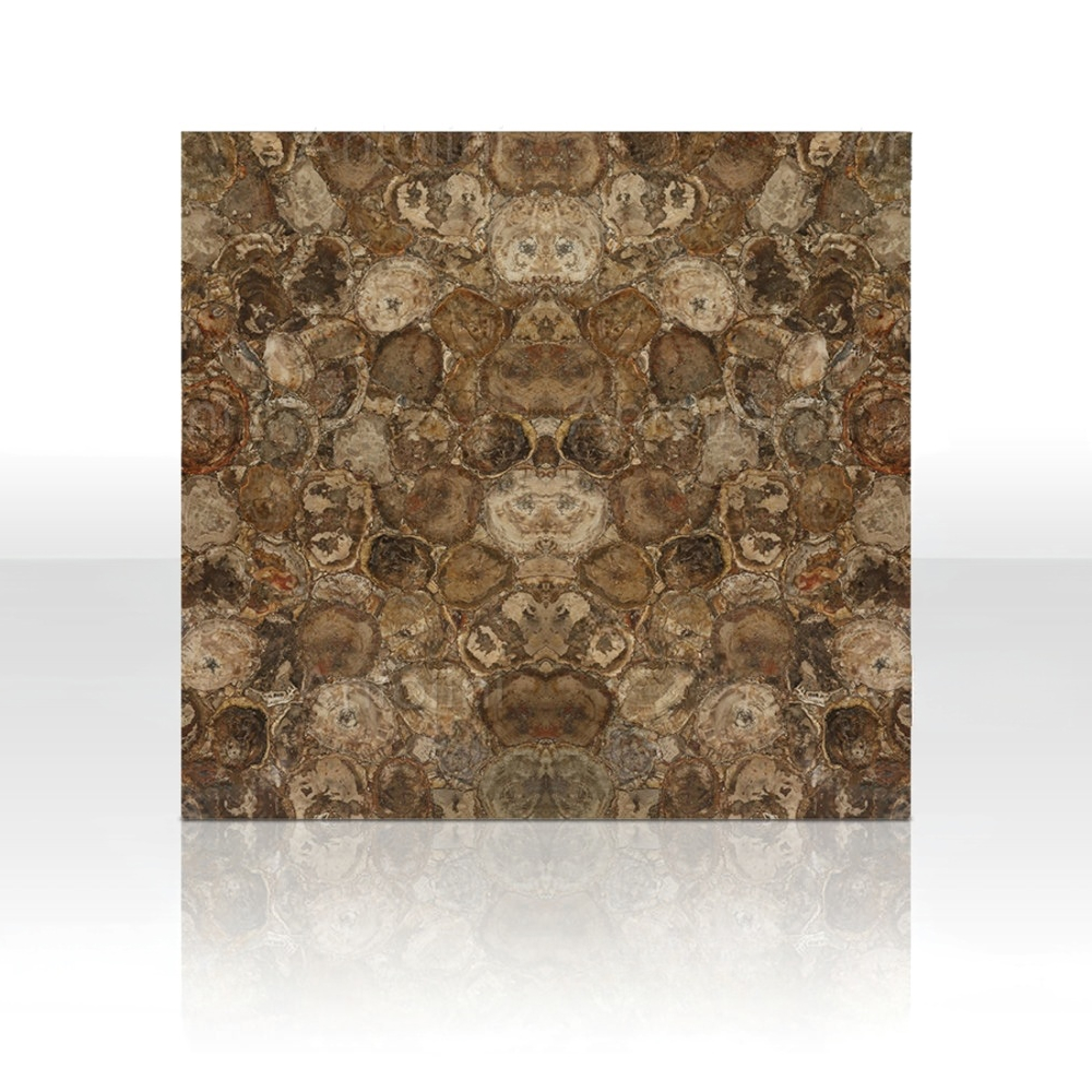 Brown Petrified Wood - Image 2