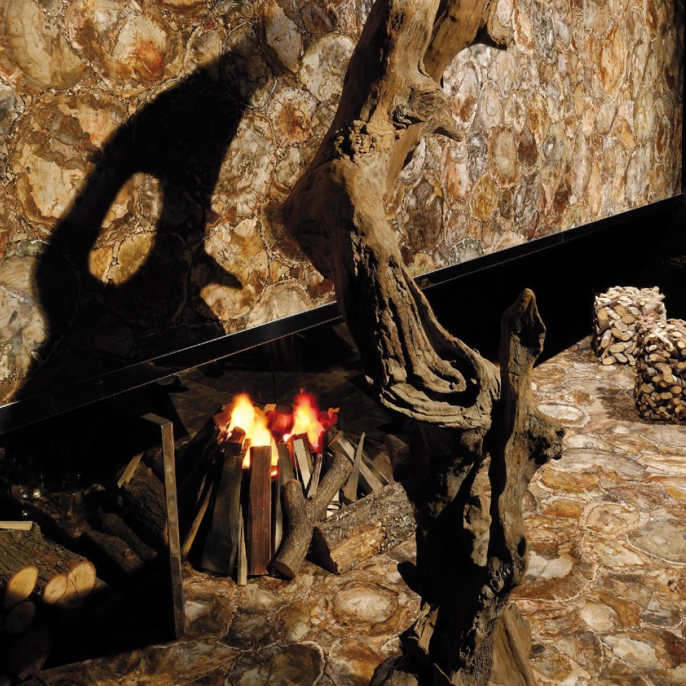 Brown Petrified Wood - Image 4