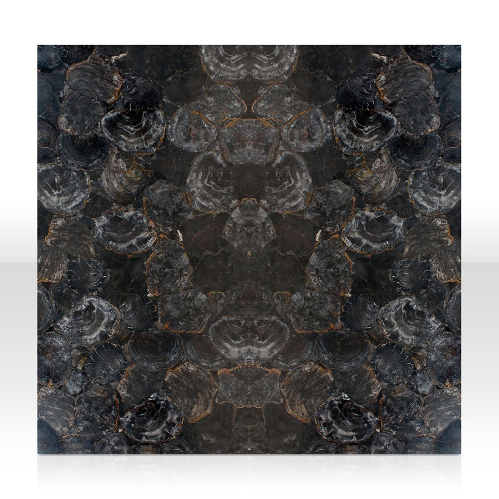 Grey Petrified Wood - Image 2