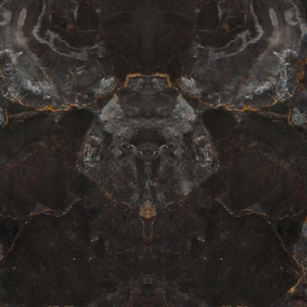 Grey Petrified Wood