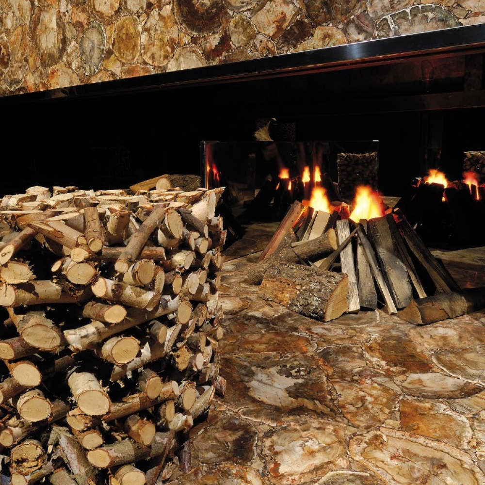 Brown Petrified Wood - Image 3