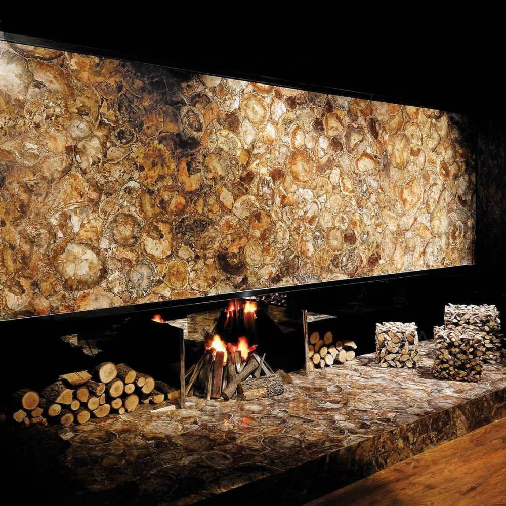 Brown Petrified Wood - Image 2