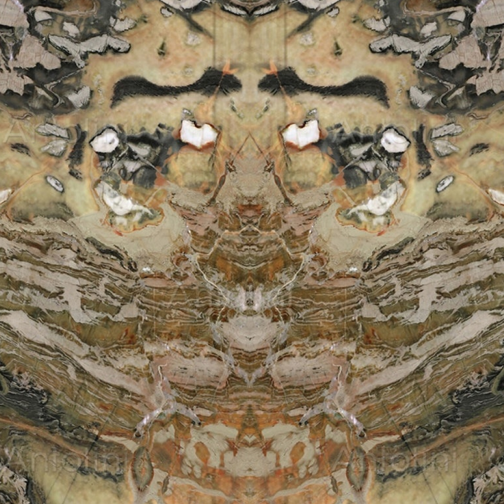 Confusion Dark - Image 2