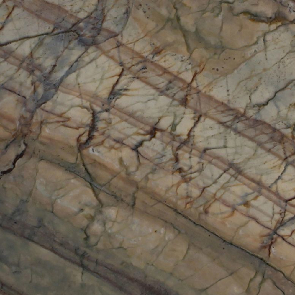 Corteccia - Image 2