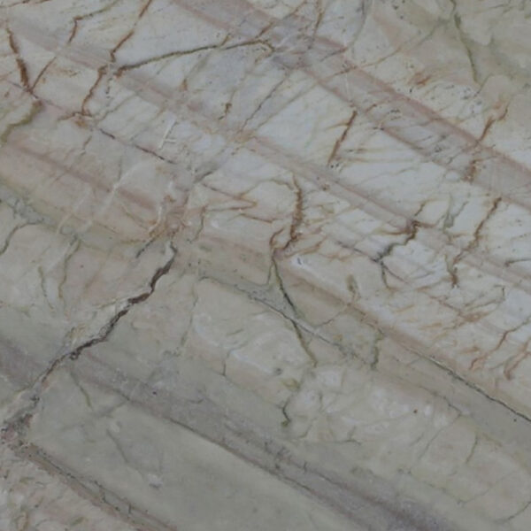 Corteccia