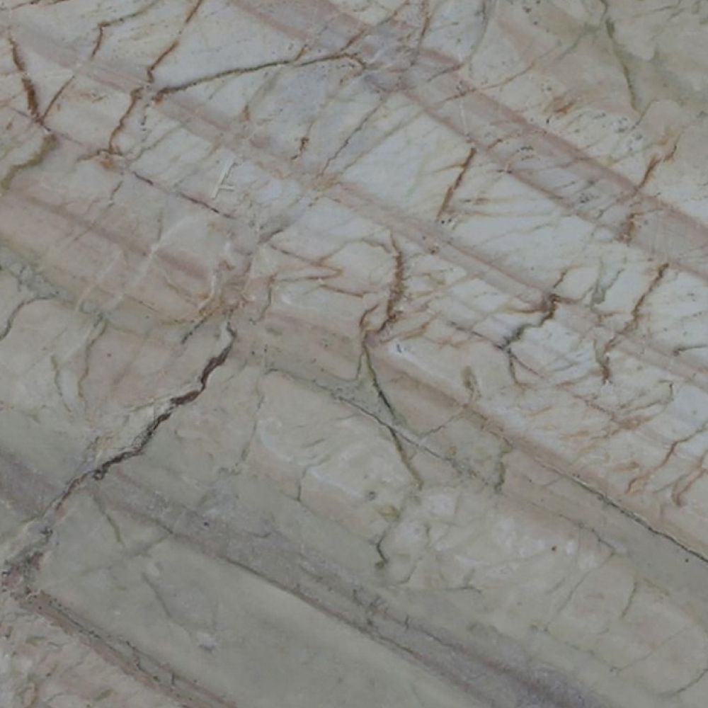 Corteccia