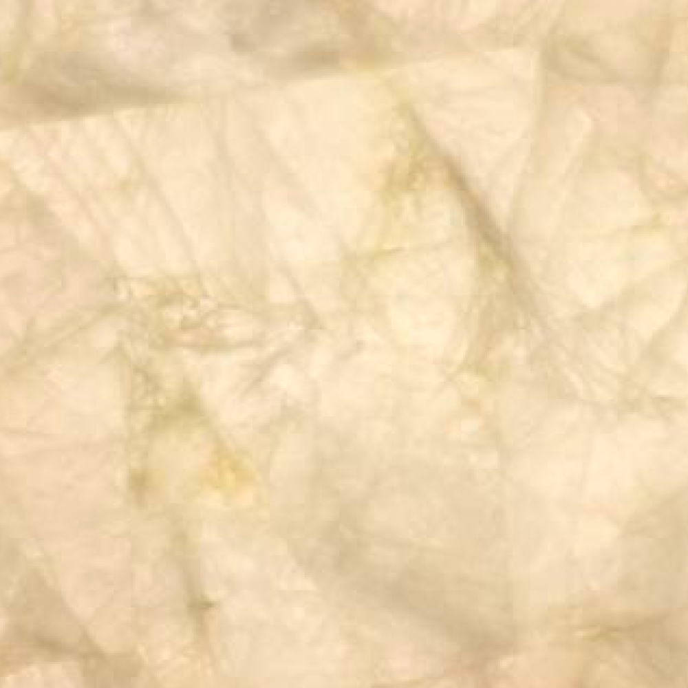 Crystal Babyrose Giant - Image 2