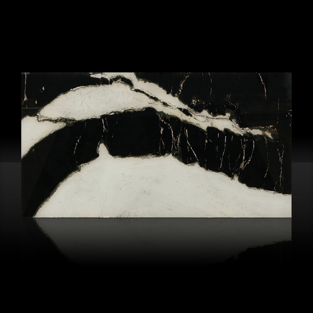 Dalmata - Image 3