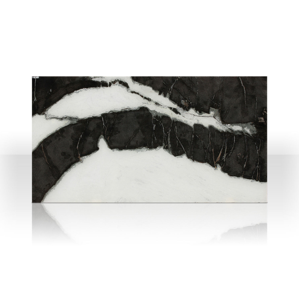 Dalmata - Image 5