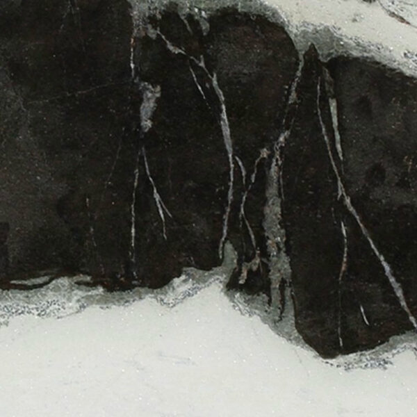 Dalmata