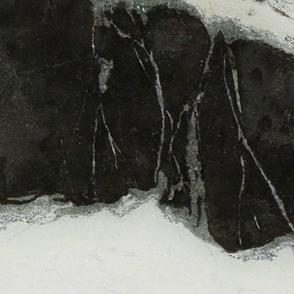 Dalmata