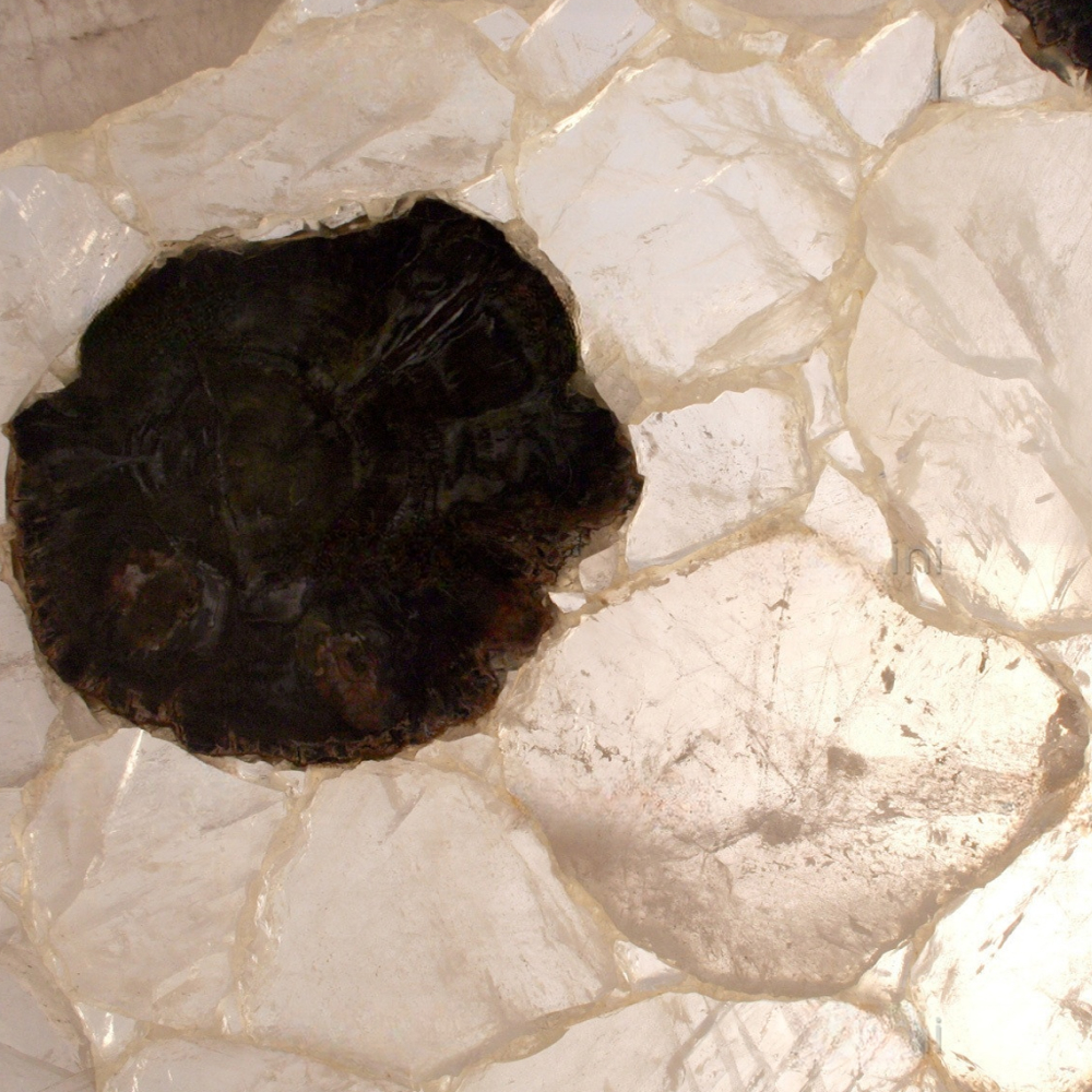 Fossilized Quartz - Image 2