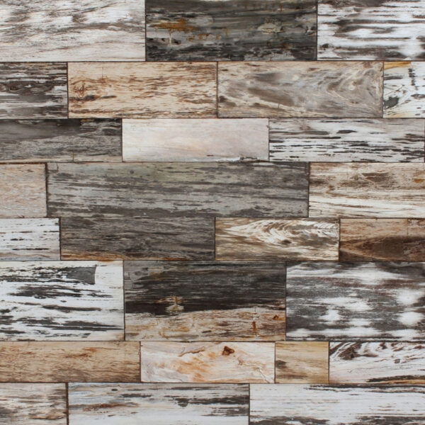 Geo Fancylight Petrified Wood