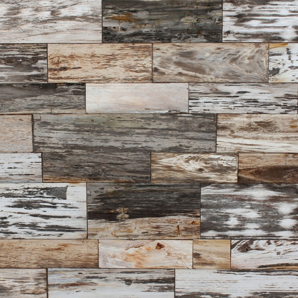 Geo Fancylight Petrified Wood