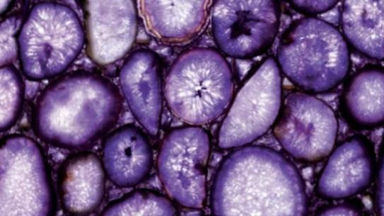 Crystal Agate Viola - Image 4