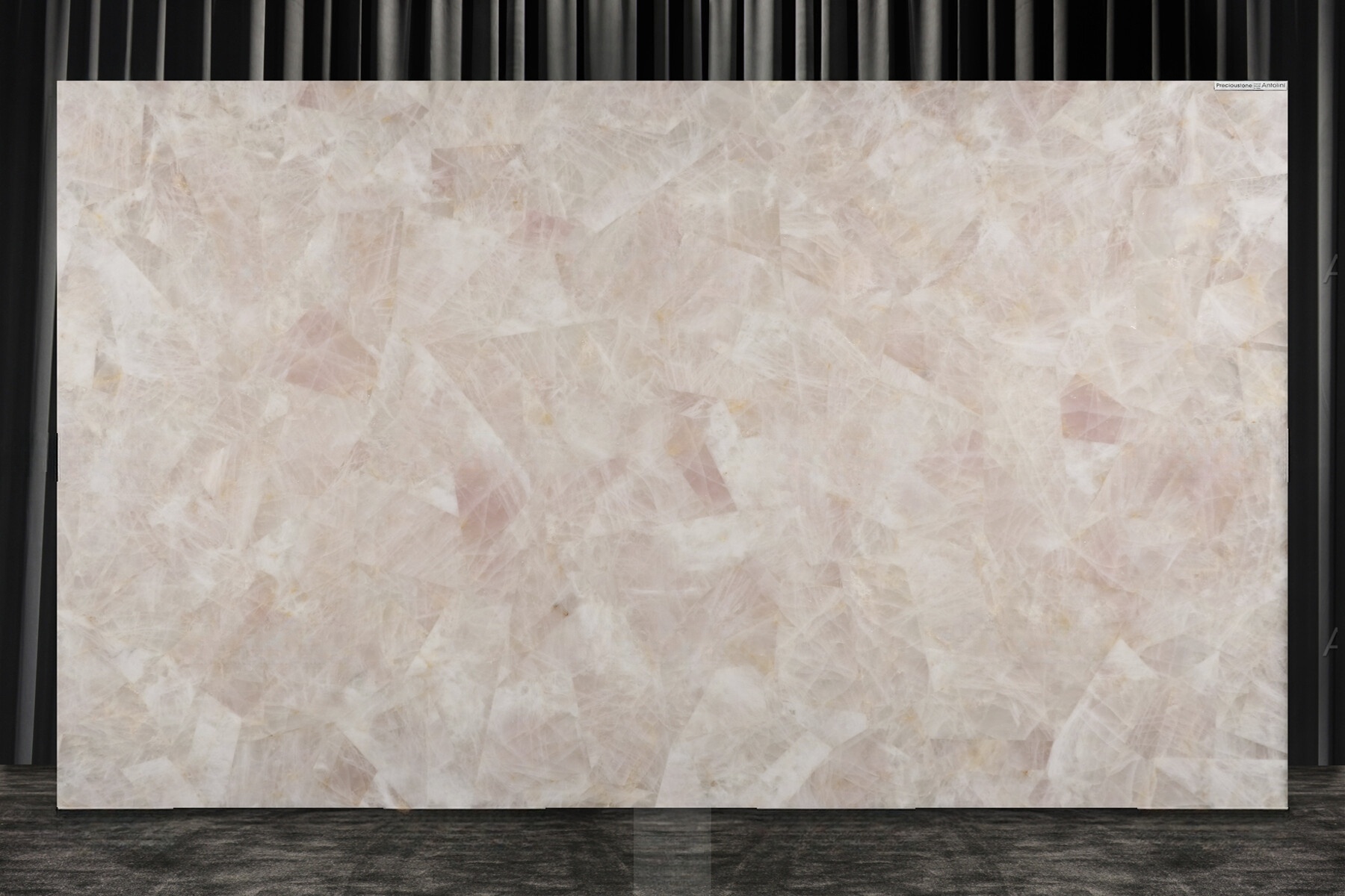 Crystal Babyrose Giant - Image 3