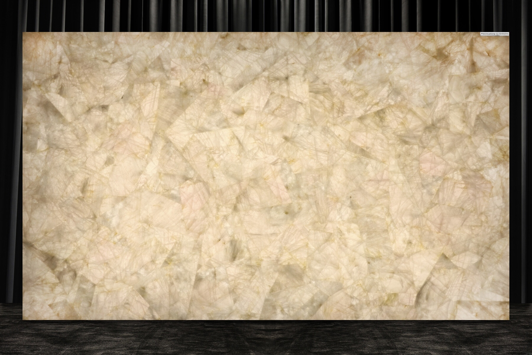 Crystal Babyrose Giant - Image 4