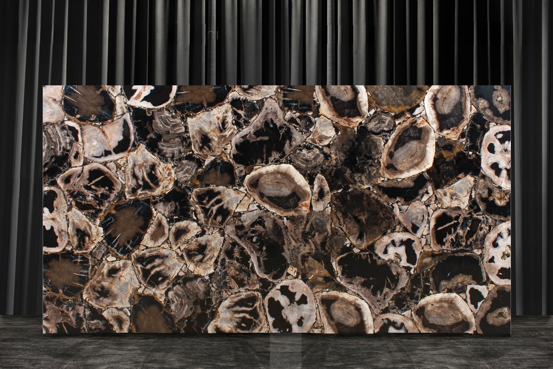 Fancyblack Petrified Wood - Image 2