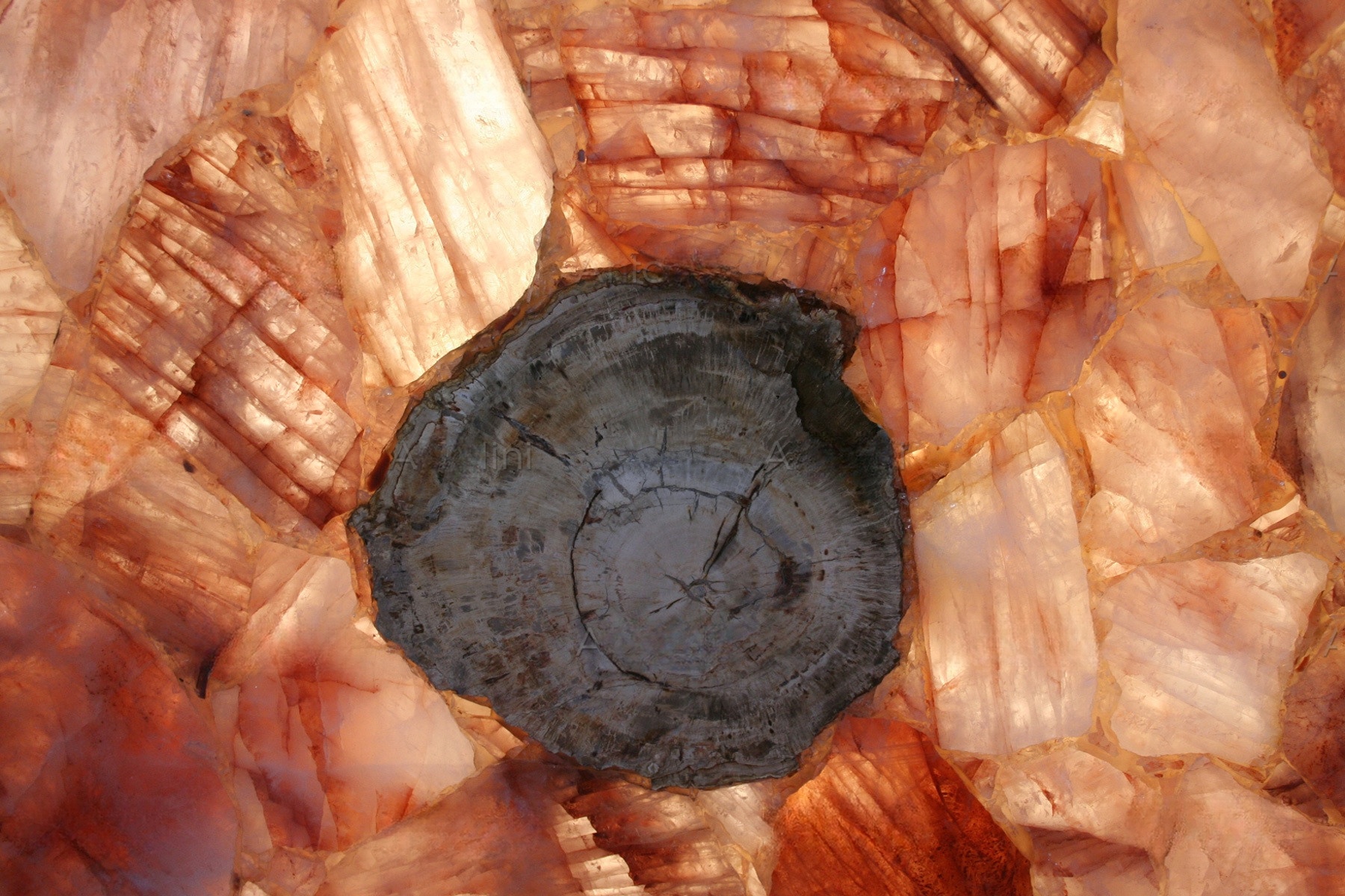 Fossilized Haematoid Quartz - Image 4