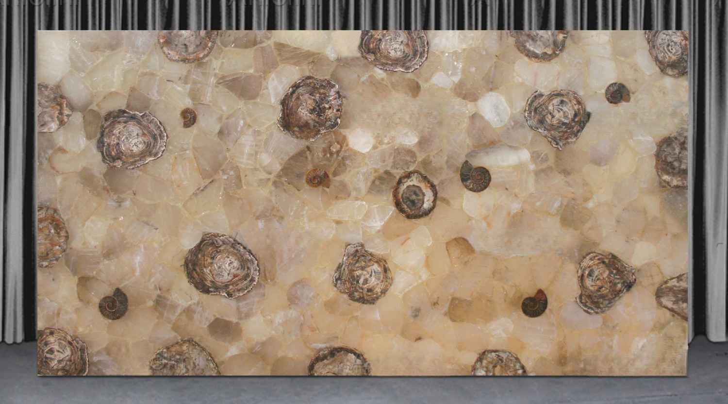 Fossilized Quartz - Image 3