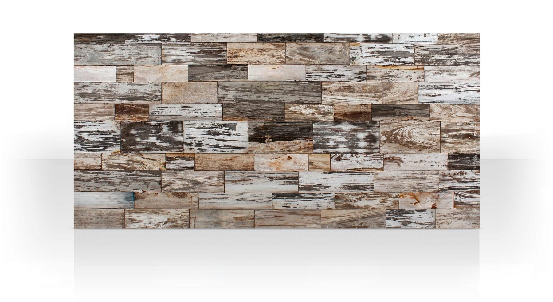 Geo Fancylight Petrified Wood - Image 2