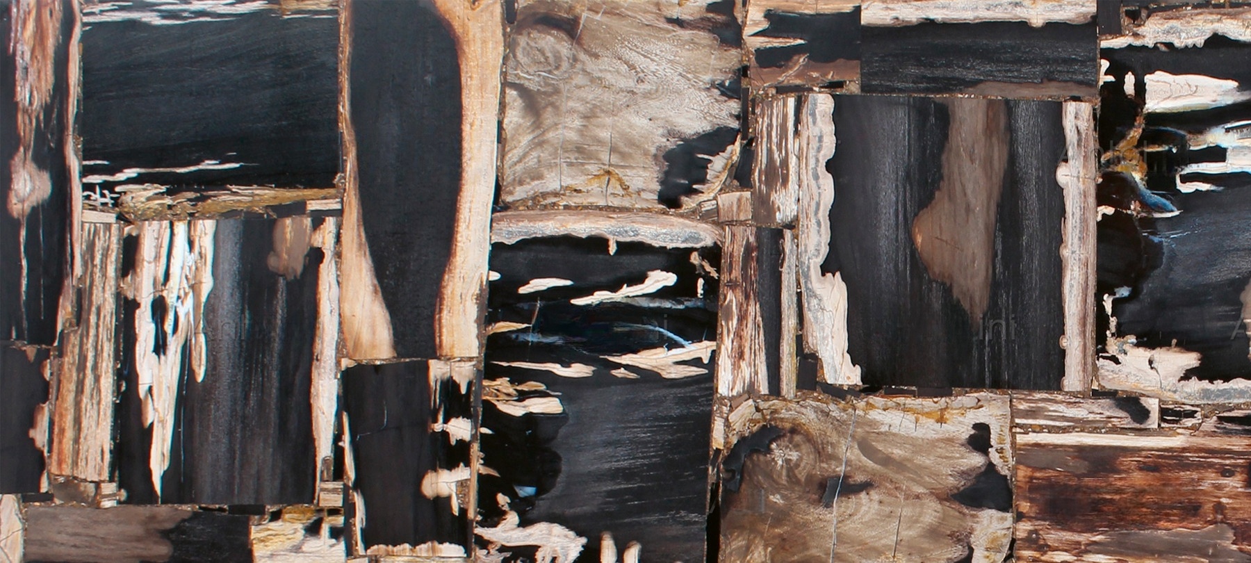 Retrò Fancyblack Petrified Wood - Image 2