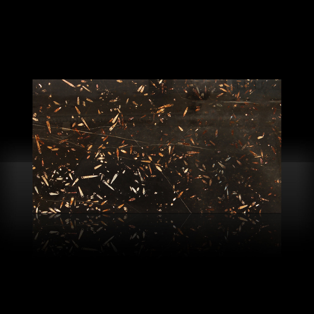 Jurassic Brown "Extra" - Image 2