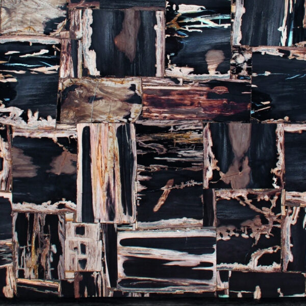 Retrò Fancyblack Petrified Wood