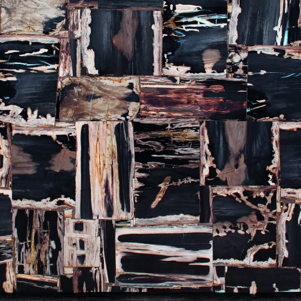 Retrò Fancyblack Petrified Wood