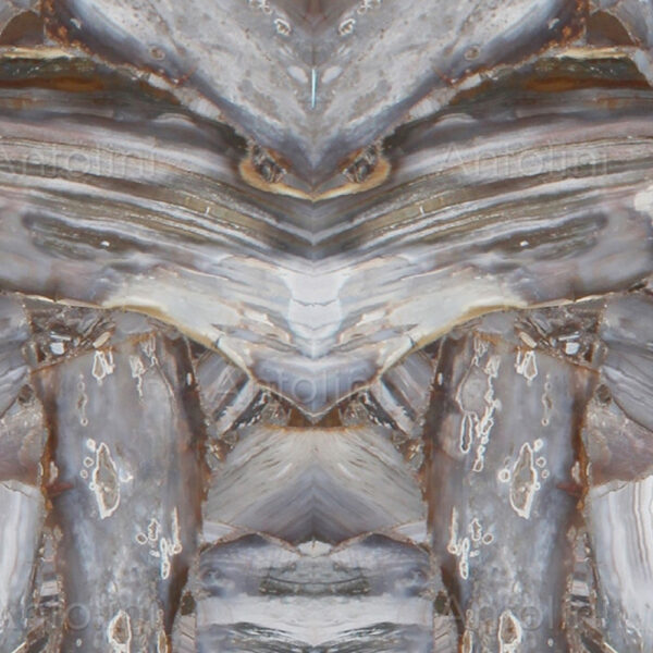 Opal Agate