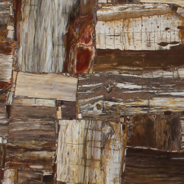 Retro Brown Petrified Wood