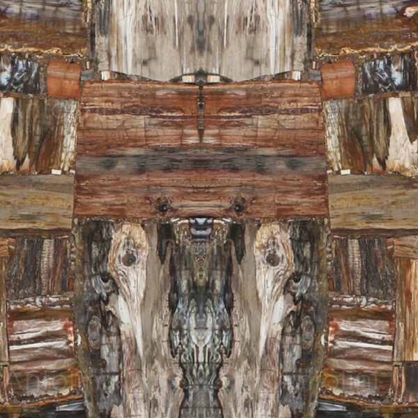 Retro Brown Petrified Wood