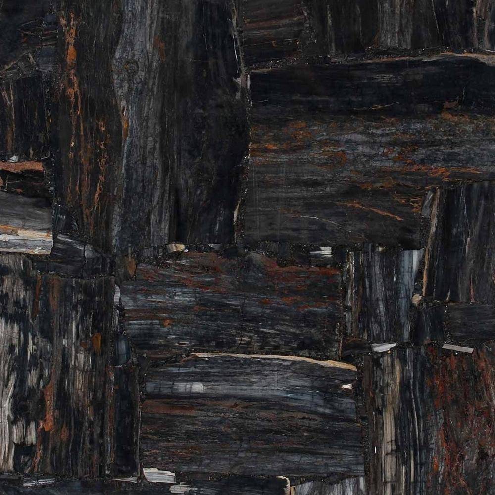 Retro Grey Petrified Wood