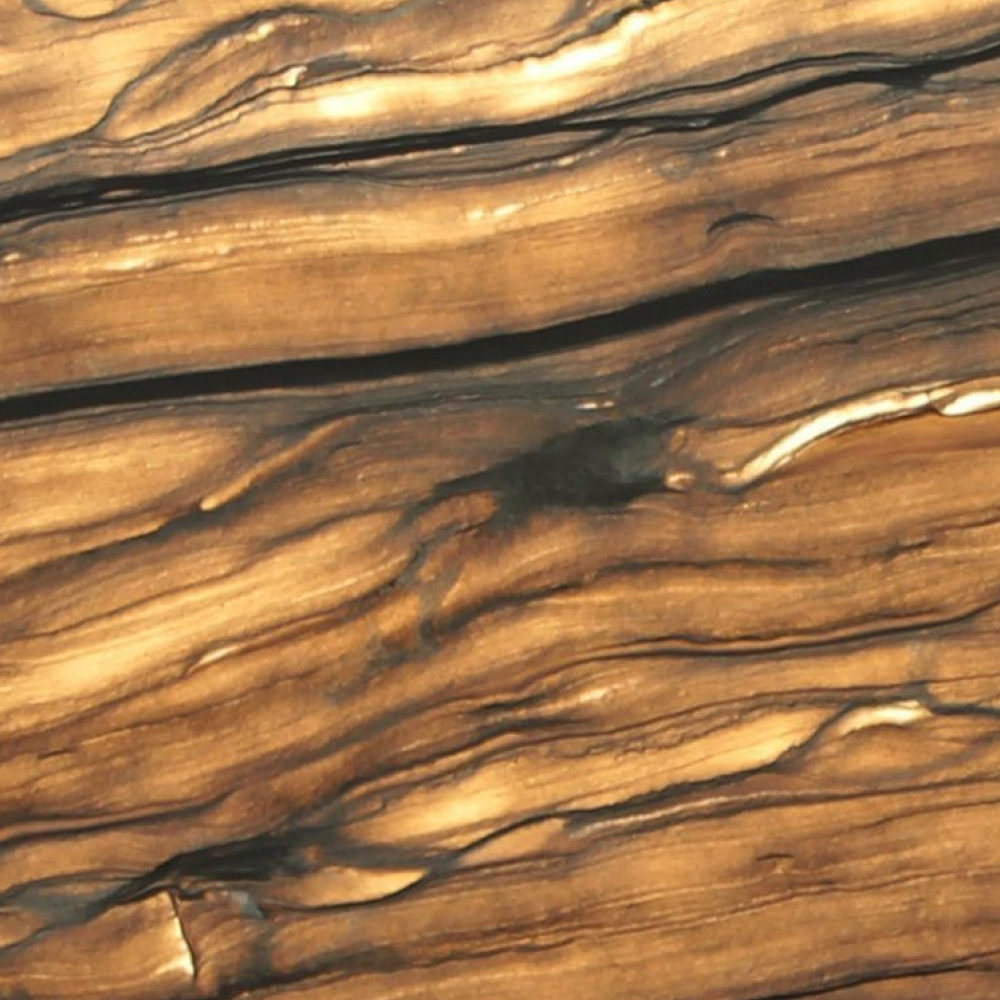Sequoia Brown - Image 2