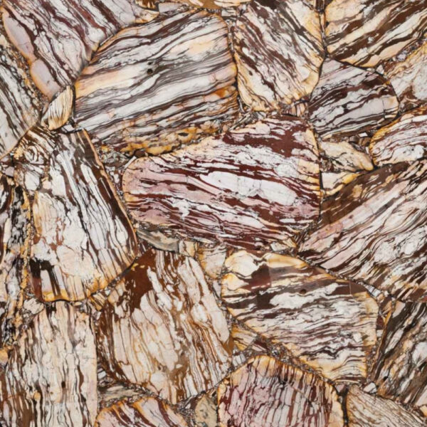 Zebra Jasper