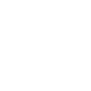 Sustainable Choice